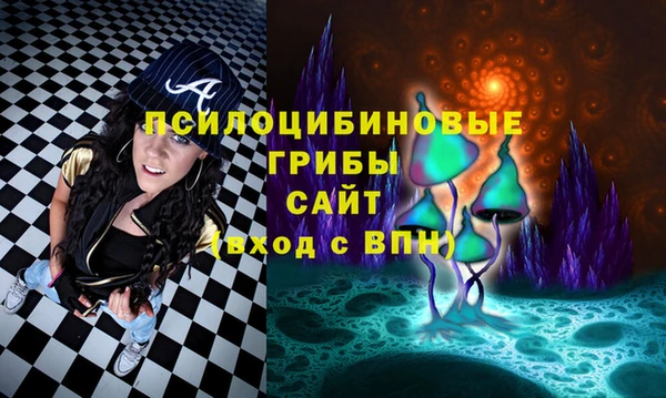 не бодяженный Бородино
