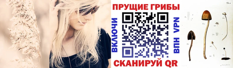 Псилоцибиновые грибы GOLDEN TEACHER  купить   Новосокольники 
